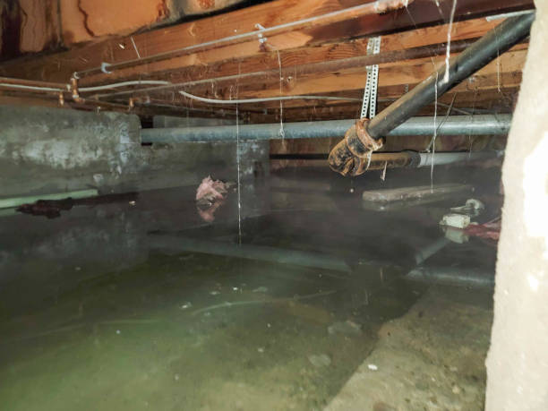 Best Ceiling and Wall Water Damage Repair in Belen, NM