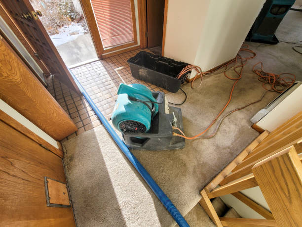 Trusted Water Damage Restoration in Belen, NM | Fast, Reliable, and Ready to Assist You