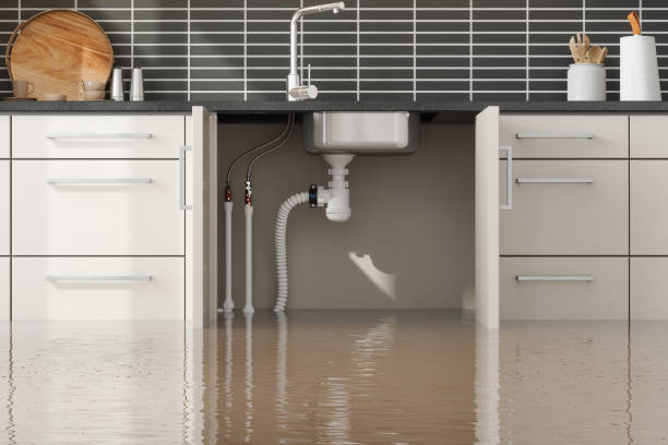 Best Wood Floor Water Damage Restoration in Belen, NM